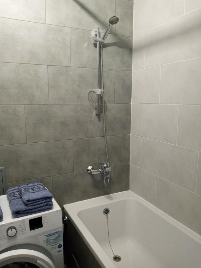 Luxury Central Apartment Uzhhorod Bagian luar foto